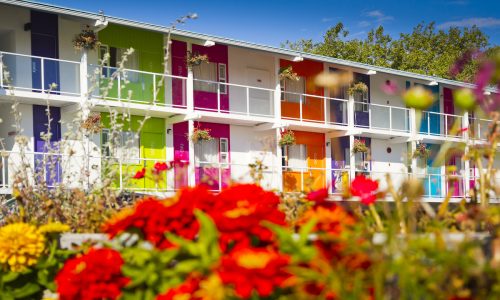 Hotel Zed brings bright colors and retro cool to Canada’s Vancouver Island